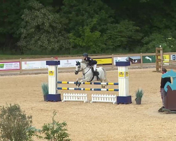 Reitturnier Tiefenhof/Opf. 2025