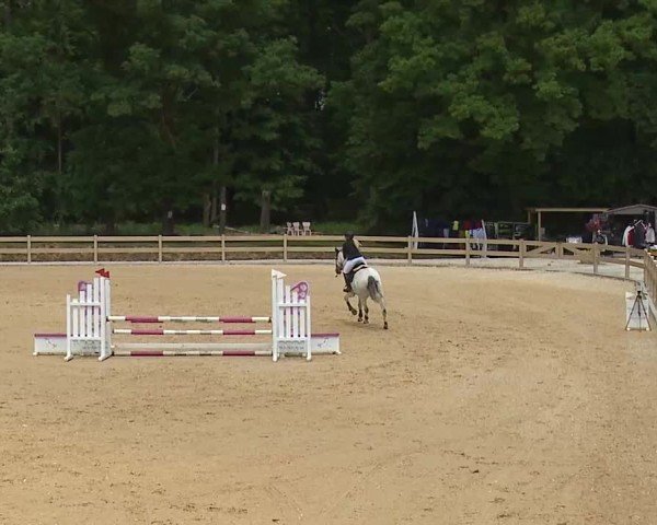Reitturnier Tiefenhof/Opf. 2025