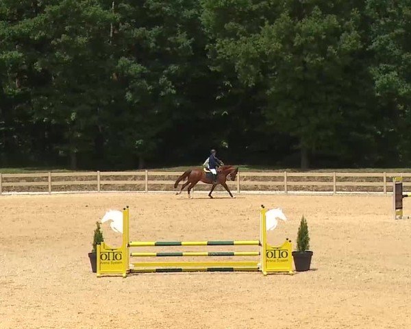 Reitturnier Tiefenhof/Opf. 2025