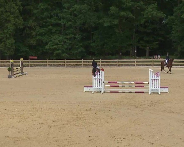 Reitturnier Tiefenhof/Opf. 2025