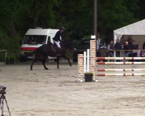 Reitturnier Kropp 2025