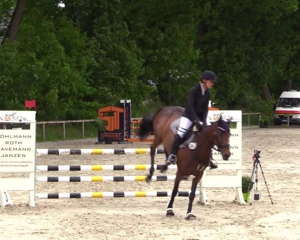 Reitturnier Kropp 2025