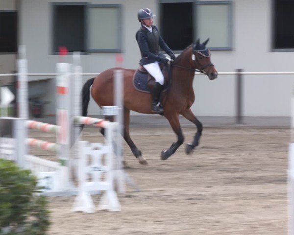 Reitturnier Kitzscher / Reitanlage Heuter 2025