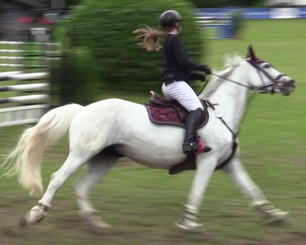 Reitturnier Scharnebeck 2025