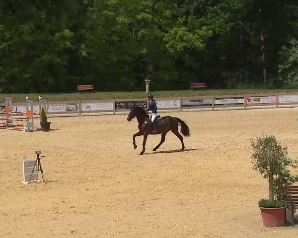 Reitturnier Tiefenhof/Opf. 2025