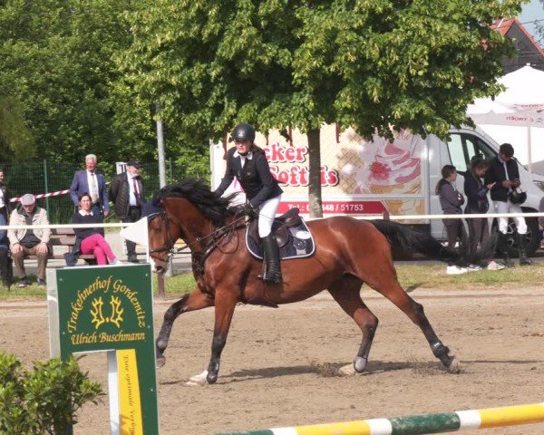 Reitturnier Kitzscher / Reitanlage Heuter 2025