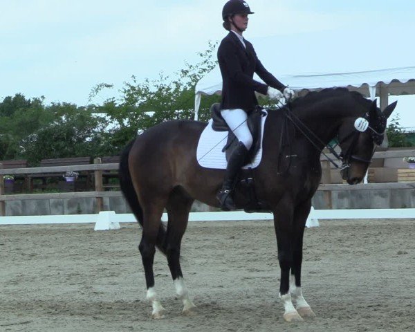 Reitturnier Scharnebeck 2025