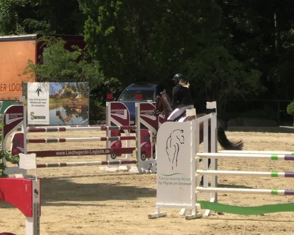 Reitturnier Hellefeld 2025