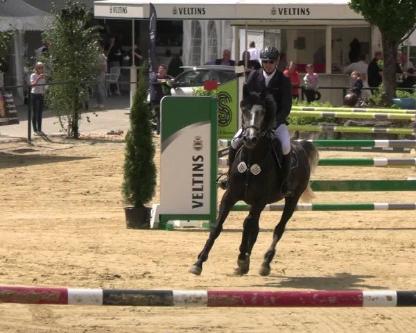 Reitturnier Hellefeld 2025