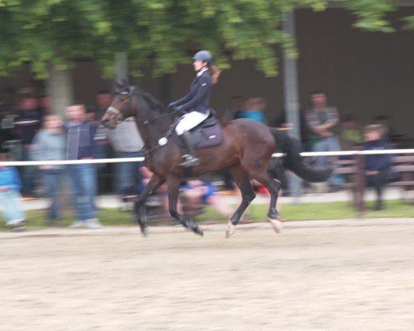 Reitturnier Kitzscher / Reitanlage Heuter 2025