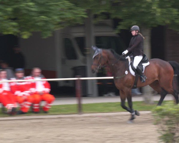 Reitturnier Kitzscher / Reitanlage Heuter 2025