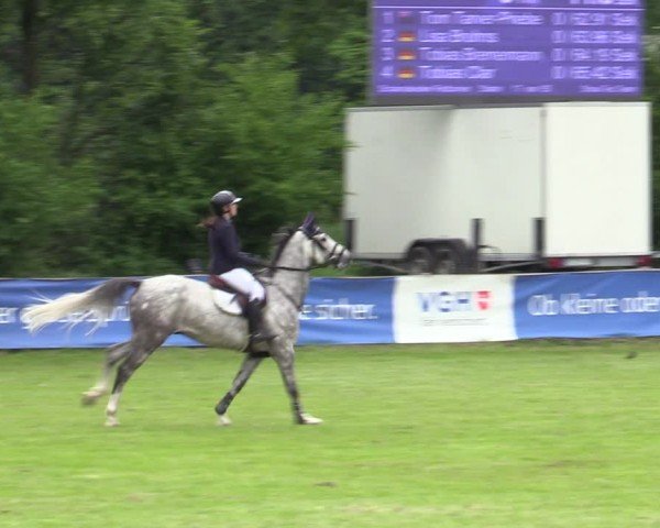 Reitturnier Scharnebeck 2025