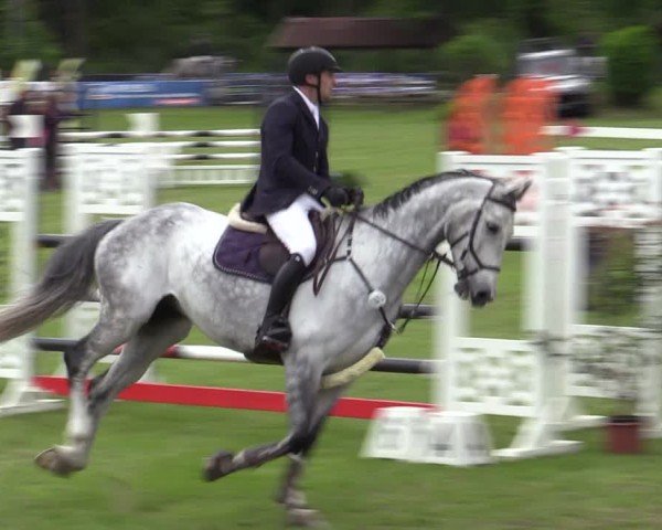 Reitturnier Scharnebeck 2025