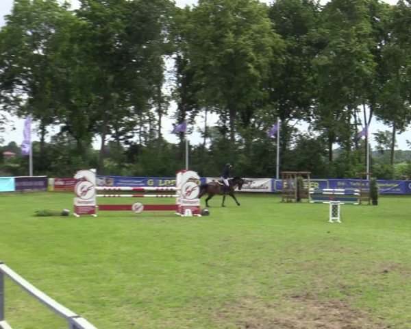 Reitturnier Scharnebeck 2025