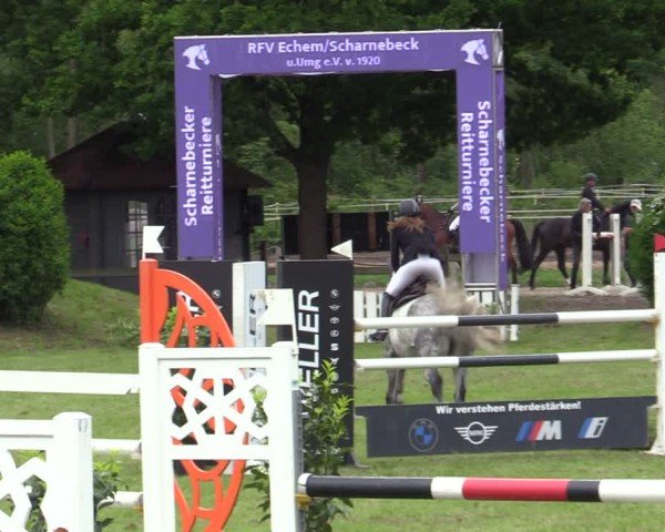 Reitturnier Scharnebeck 2025
