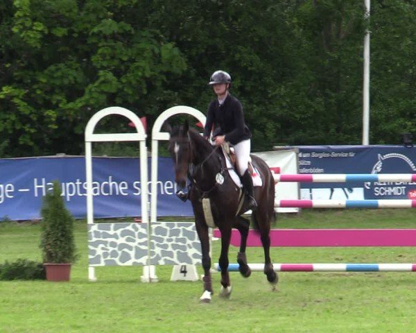 Reitturnier Scharnebeck 2025