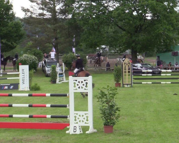 Reitturnier Scharnebeck 2025