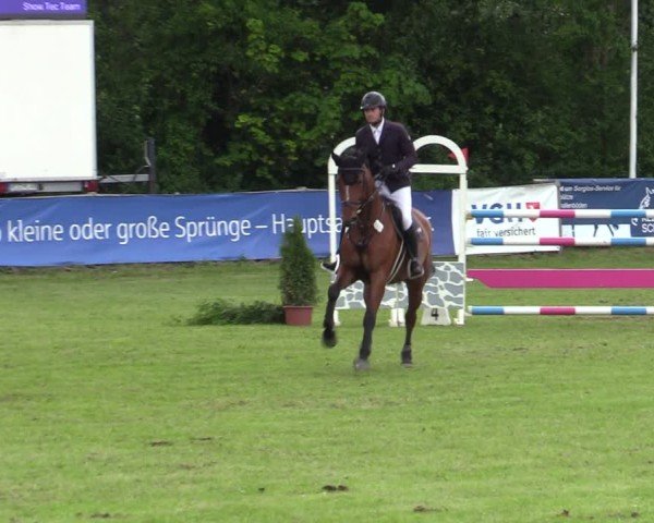 Reitturnier Scharnebeck 2025