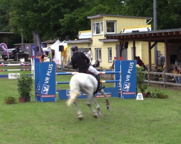 Reitturnier Scharnebeck 2025