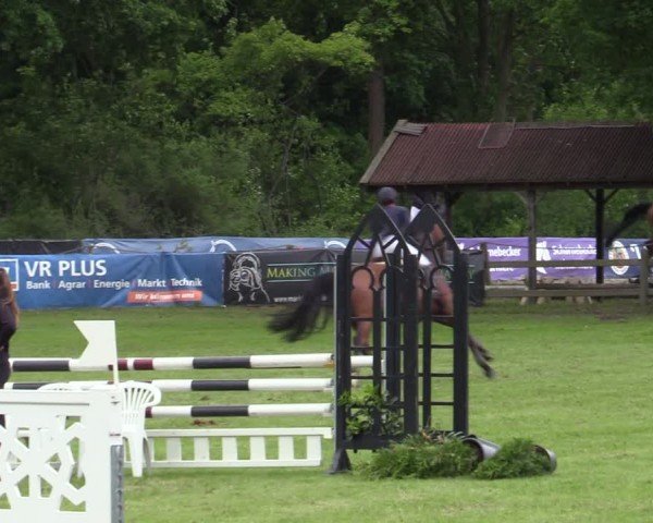 Reitturnier Scharnebeck 2025