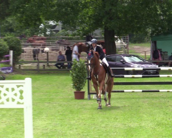 Reitturnier Scharnebeck 2025