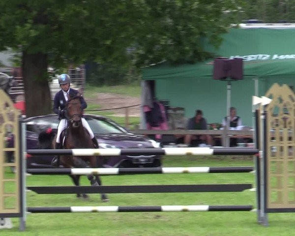 Reitturnier Scharnebeck 2025