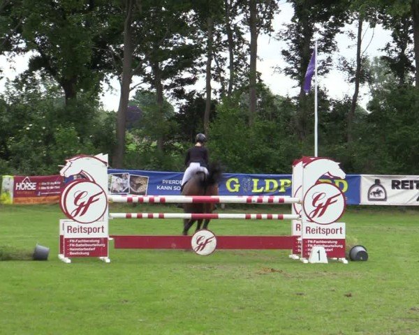Reitturnier Scharnebeck 2025