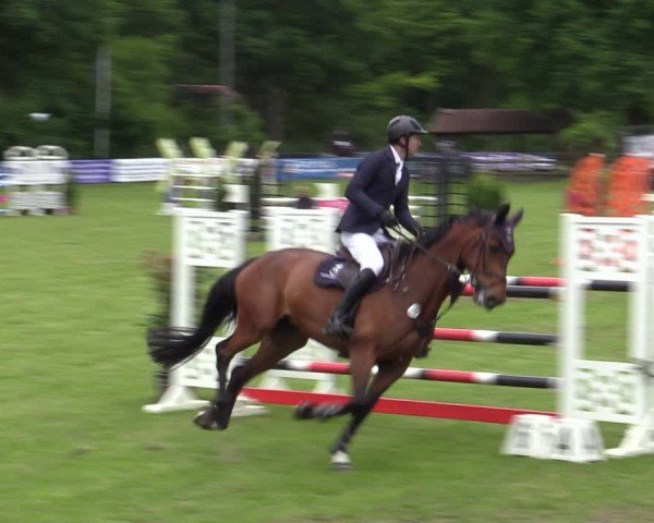 Reitturnier Scharnebeck 2025