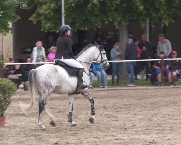 Reitturnier Kitzscher / Reitanlage Heuter 2025