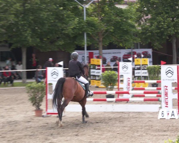 Reitturnier Kitzscher / Reitanlage Heuter 2025