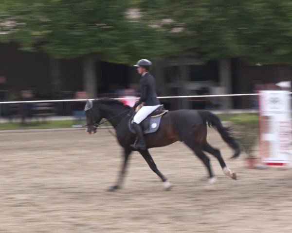 Reitturnier Kitzscher / Reitanlage Heuter 2025