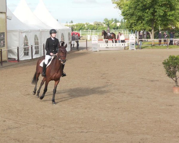 Reitturnier Kitzscher / Reitanlage Heuter 2025