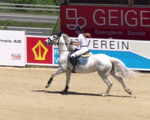 Reitturnier Wädenswil 2025