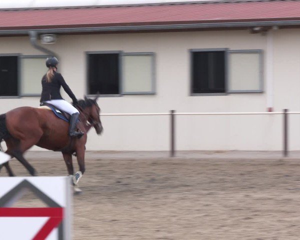 Reitturnier Kitzscher / Reitanlage Heuter 2025