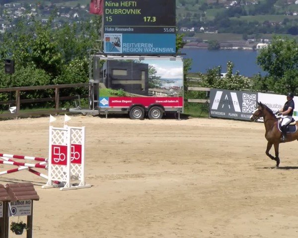 Reitturnier Wädenswil 2025