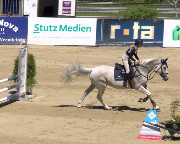 Reitturnier Wädenswil 2025