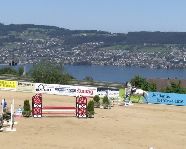 Reitturnier Wädenswil 2025