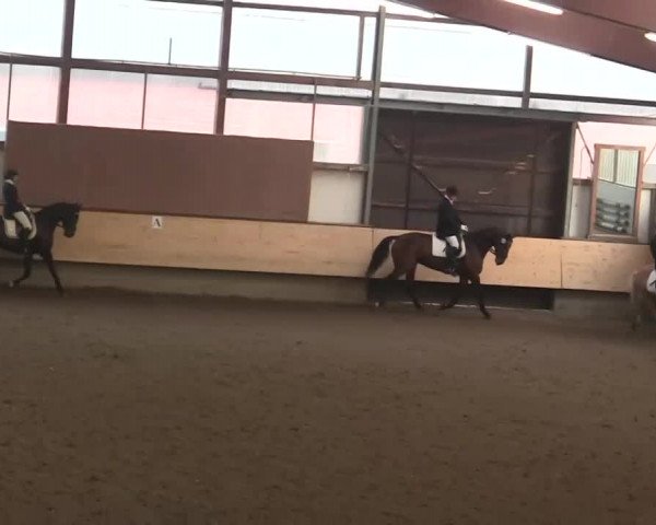 Alt Marl - Hallen-Late-Entry 2014