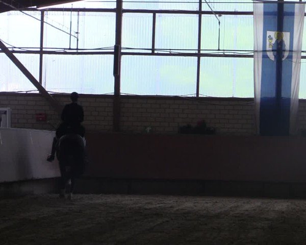 Reitturnier Hellefeld 2025