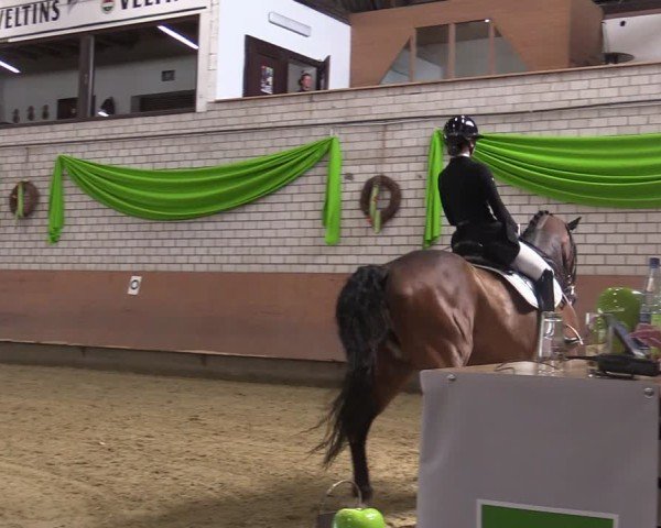 Reitturnier Hellefeld 2025