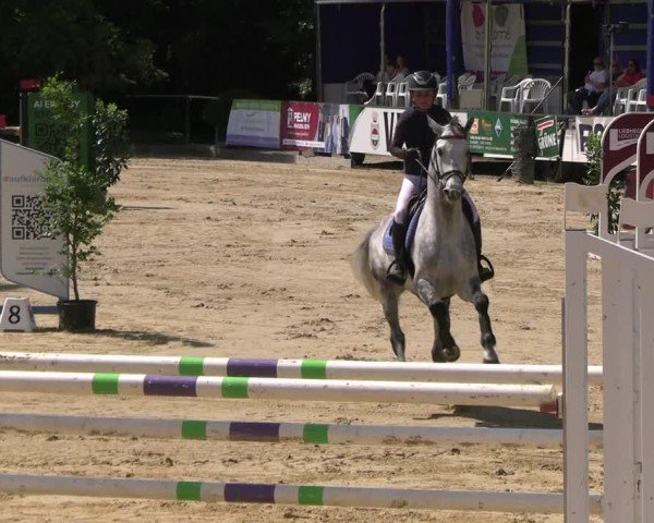 Reitturnier Hellefeld 2025