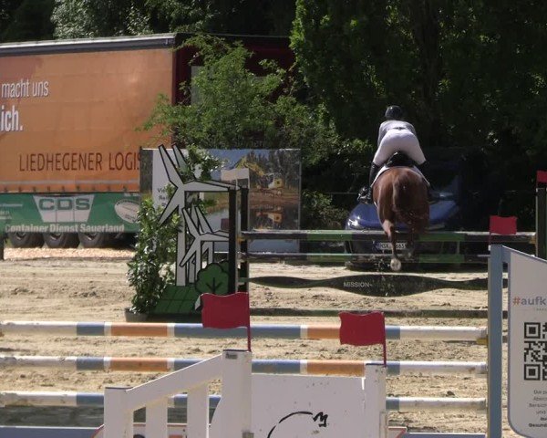 Reitturnier Hellefeld 2025