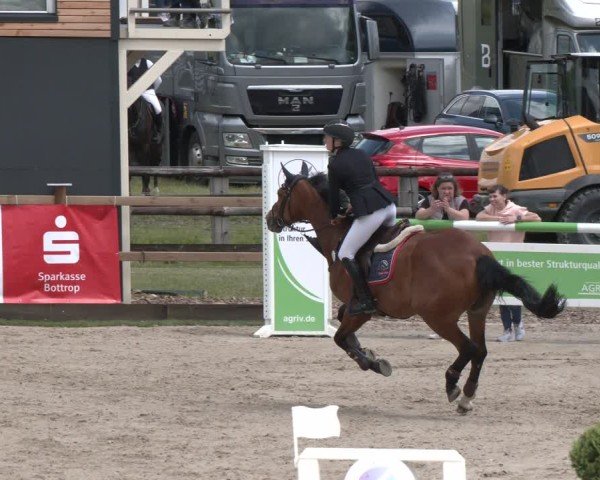 Reitturnier Kirchhellen/Stall Dieckmann 2025