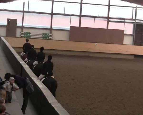 Alt Marl - Hallen-Late-Entry 2014