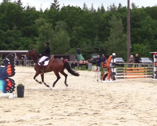 Reitturnier Kropp 2025