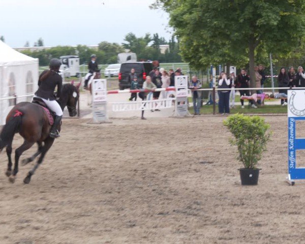 Reitturnier Kitzscher / Reitanlage Heuter 2025