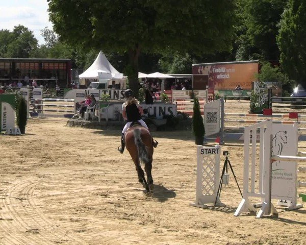 Reitturnier Hellefeld 2025
