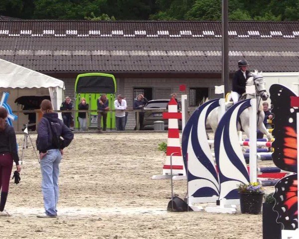 Reitturnier Kropp 2025