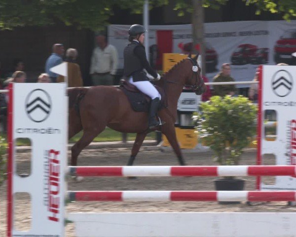 Reitturnier Kitzscher / Reitanlage Heuter 2025