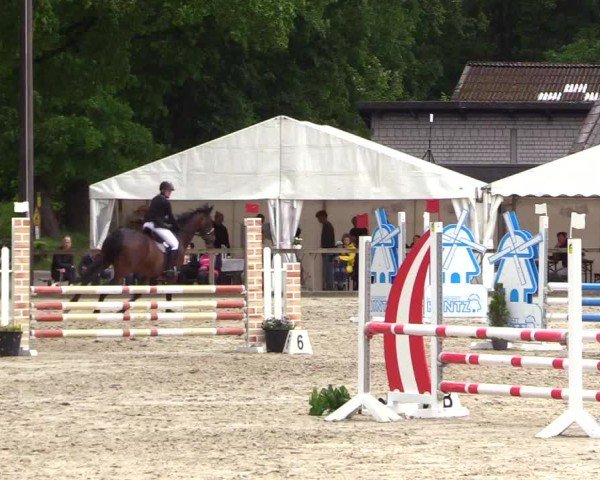 Reitturnier Kropp 2025